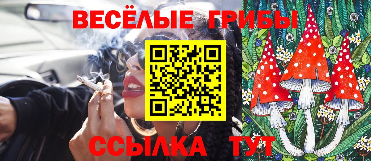 Галлюциногенные грибы Psilocybe  цена   Вход с VPN  Тельмана  Псилоцибиновые грибы GOLDEN TEACHER 